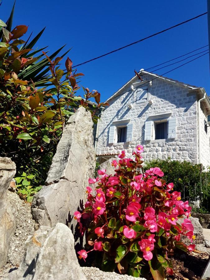 Old Stone Villa Lalosevic Kotor Exterior foto